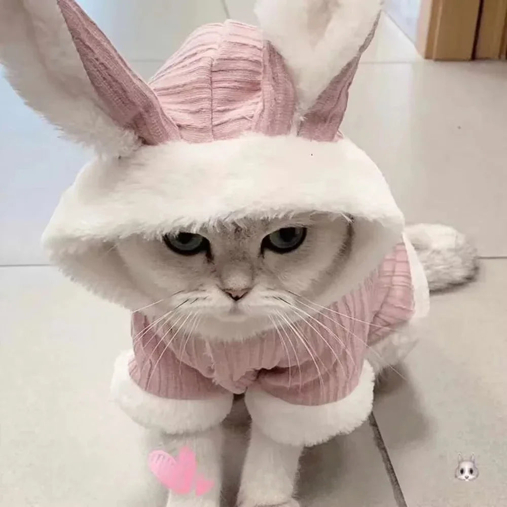 Lovable Winter Clothes for Cats/Small Dogs | Two-Legged Corduroy Cartoon Outfit | Warm Cotton Coat for Hairless Cats/Puppies