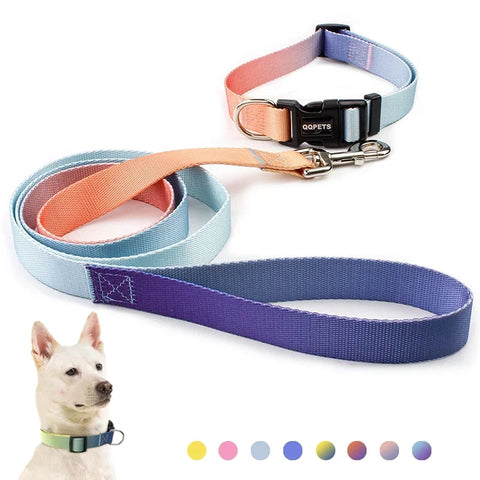 Adjustable Dog Collar & Leash Set – Personalized Nylon Traction Lead for Small to Large Dogs