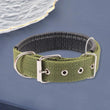 Adjustable Nylon Pet Collar with Traction Ring – Durable and Comfortable Dog Neck Strap