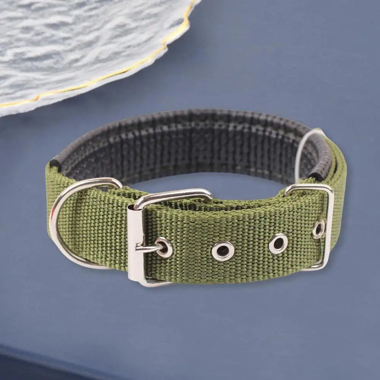 Adjustable Nylon Pet Collar with Traction Ring – Durable and Comfortable Dog Neck Strap