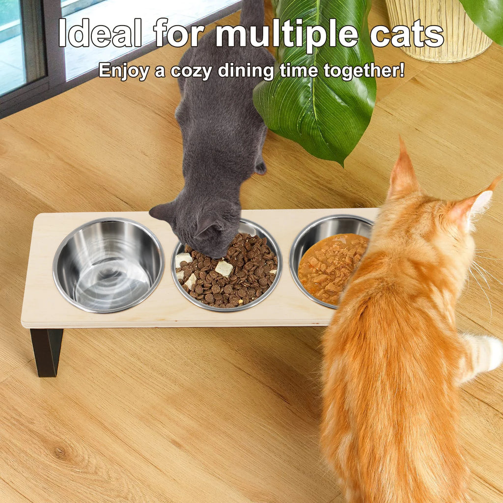 Elevated Cat Bowls with 3 Stainless Steel Bowls | 15° Tilted Raised Cat Food Bowls | For Small Cats & Puppies | Pet Bowls with Stand