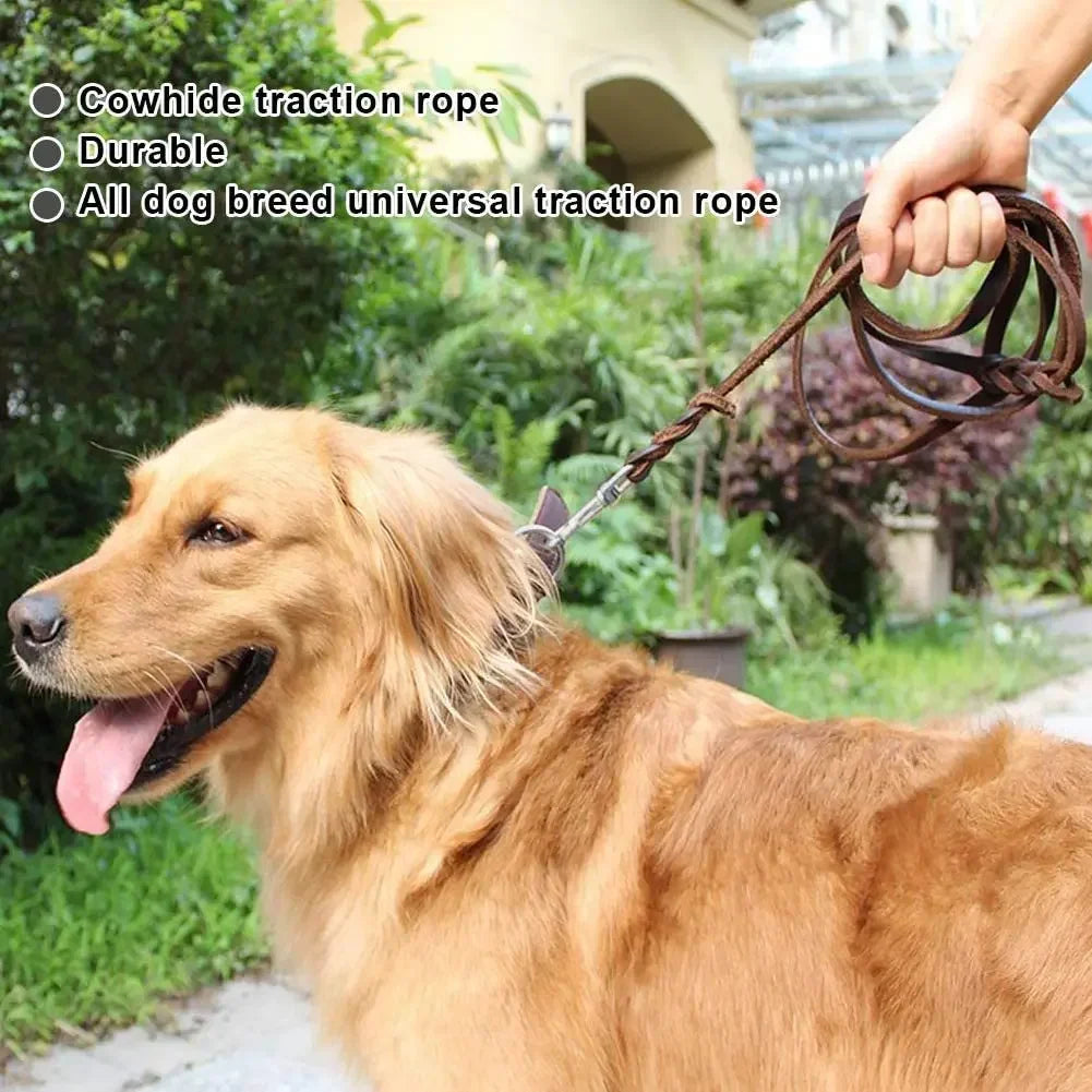 Braided Leather Dog Collar and Leash Set – Durable Genuine Cowhide for Medium & Large Dogs