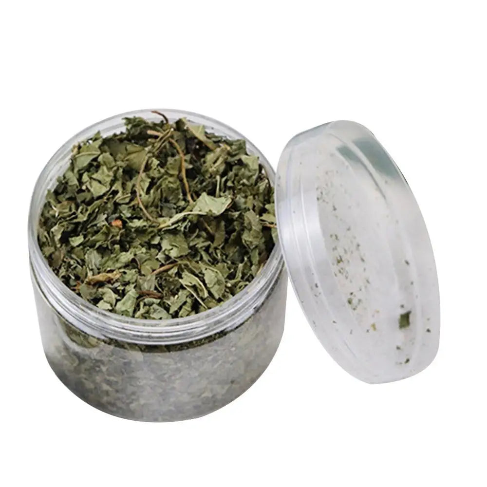 Natural Catnip | Organic Premium Catmints | Cat Toy Cataria | Eliminating Cats Hairballs | Absorbing Foods | Vitamin Supplement