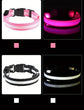 LED Light-Up Dog Collar – High Visibility Safety Collar for Night Walks (Battery Powered)