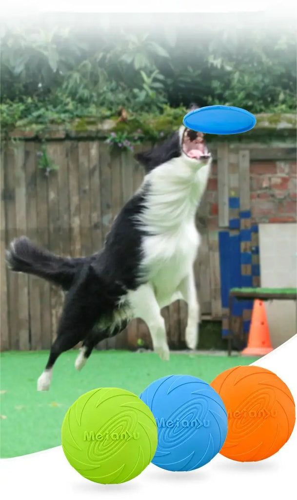 OUZEY Bite Resistant Flying Disc Toys for Dogs | Multifunction Pet Puppy Training Toys | Outdoor Game Dog Products