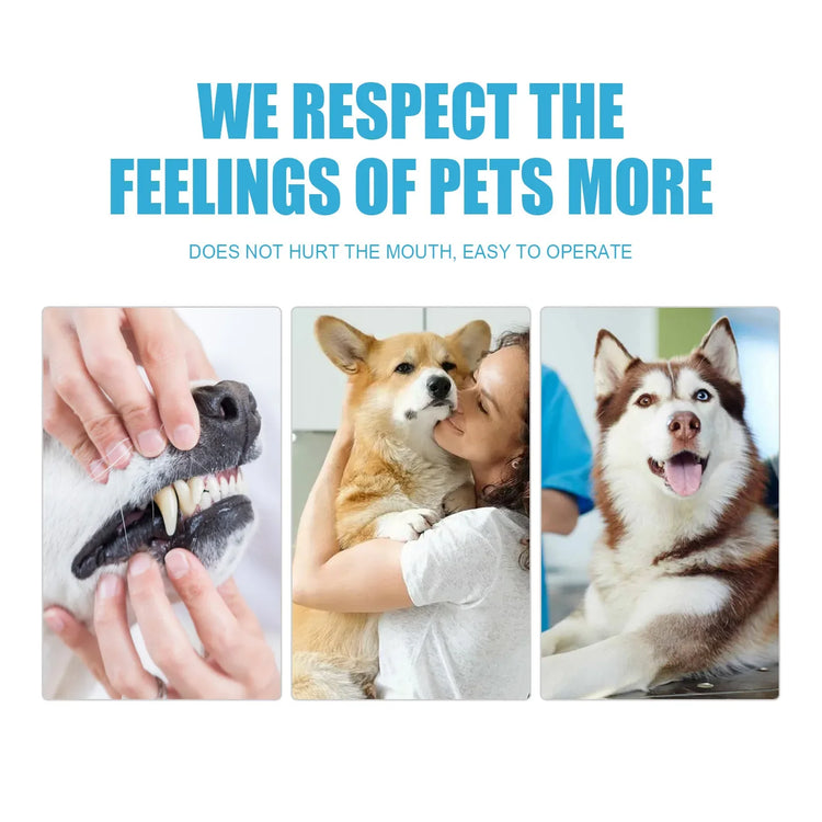 Edible Pet Toothpaste for Cats & Dogs | Oral Care Gel for Clean Teeth & Healthy Gums