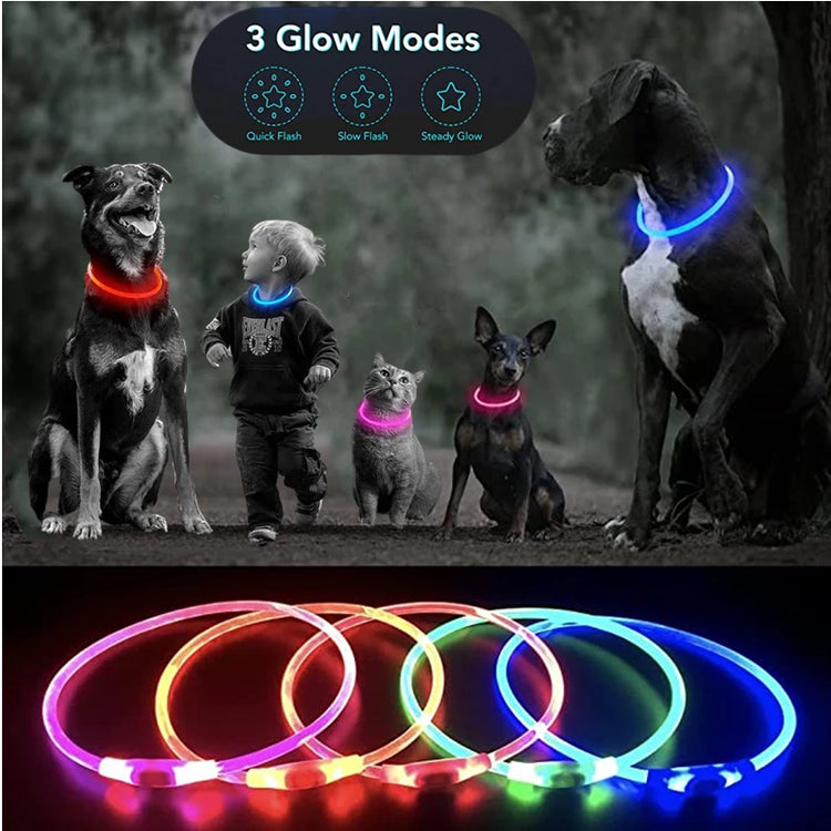 LED Luminous Dog Collar Light Rechargeable Flashing Safety Collar for Nighttime Walking