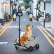 Foldable Small Pet Stroller with 4 Wheels – Breathable Dog and Cat Carrier Cart for Puppies and Kittens