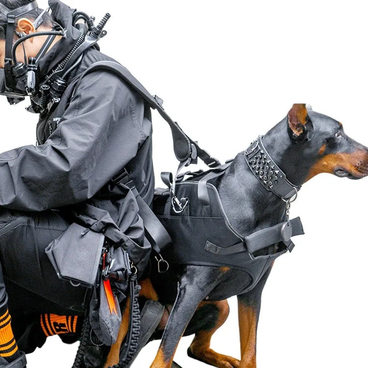 Outdoor Dog Carrier Backpack for Large Breeds – Hiking & Travel Pet Carrier