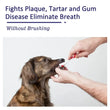 Edible Pet Toothpaste for Cats & Dogs | Oral Care Gel for Clean Teeth & Healthy Gums