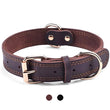 Leather Dog Collar with Quick Release – Durable Pet Collar for Small to Large Dogs