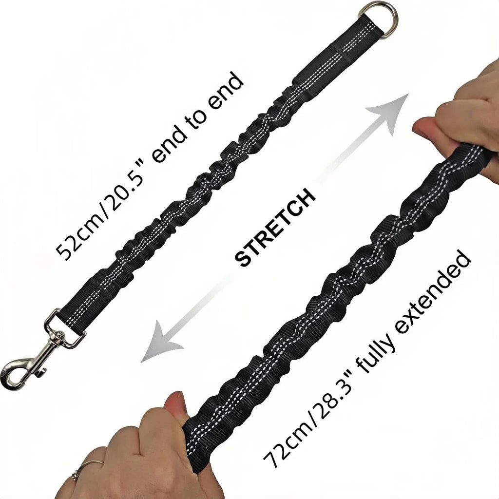 Shock Absorber Dog Leash – Heavy-Duty Elastic Bungee Training Lead for Medium Dogs