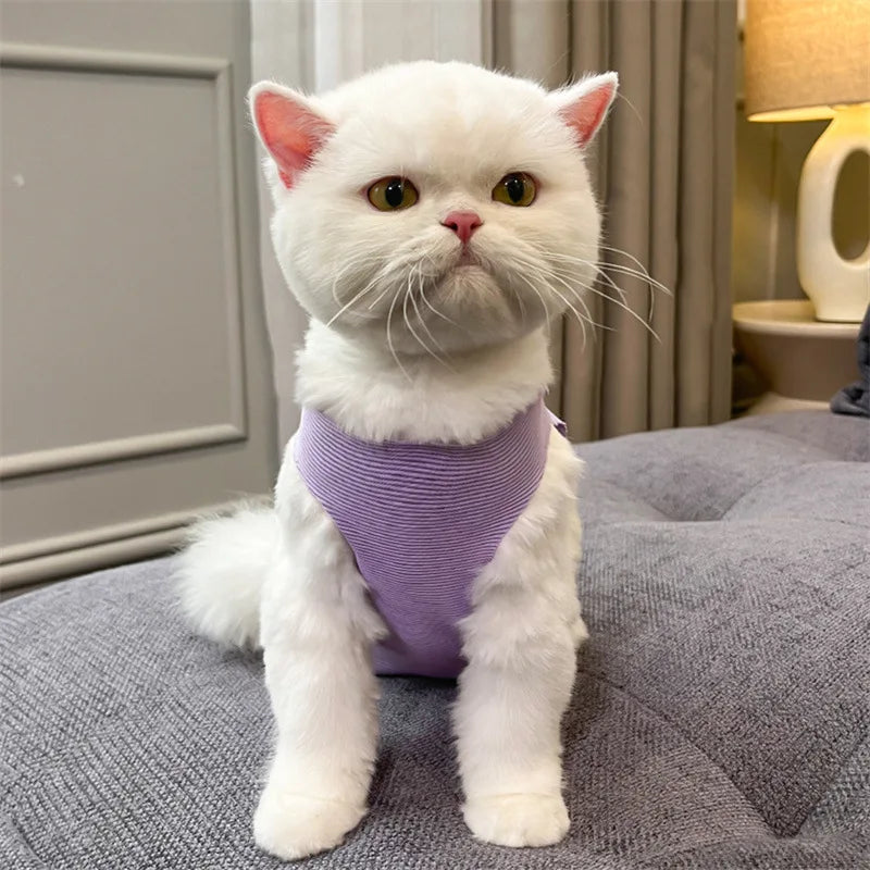 Cat Surgery Recovery Suit | Post-Op Onesie for Cats | E-Collar Alternative for Wound Protection
