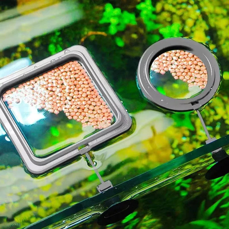 Aquarium Feeding Ring Floating Food Tray with Suction Cup – Square Fish Feeder (Black & Blue)