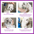 Pet Shampoo for Dogs – Nourishing, Stain-Removing, and Soothing Care