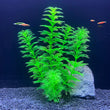 Fish Tank Grass Decoration Artificial Aquarium Decor Plants Water Weeds Ornament Aquatic Plant  Accessories ﻿