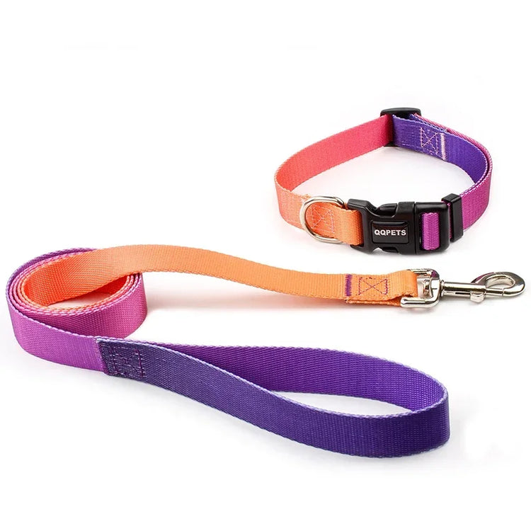 Adjustable Dog Collar & Leash Set – Personalized Nylon Traction Lead for Small to Large Dogs