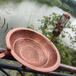 Outdoor Rail Bird Feeder SPA | Iron Bird Bath Bowl for Balcony, Deck, or Garden Railing | Sturdy Dual-Purpose Bird Feeder & Water Bowl