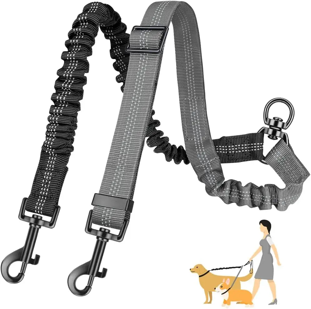 GOYN Upgraded Double Dog Leash with Shock Absorbing Bungee – Adjustable, Tangle-Free & Reflective