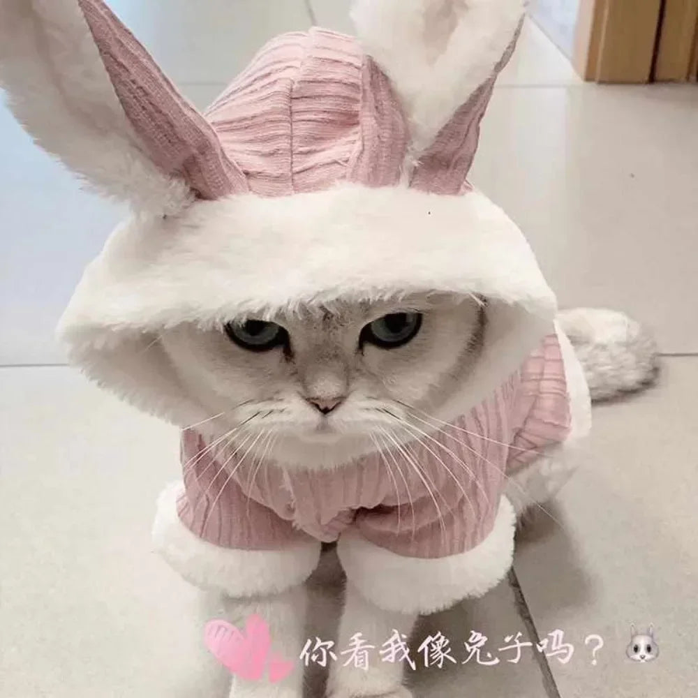 Lovable Winter Clothes for Cats/Small Dogs | Two-Legged Corduroy Cartoon Outfit | Warm Cotton Coat for Hairless Cats/Puppies