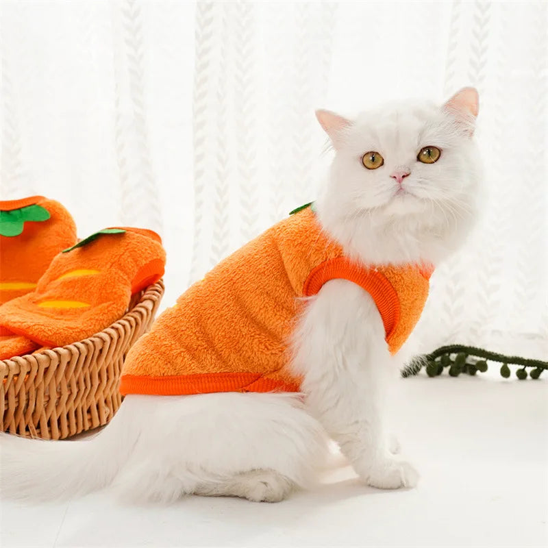 Warm Fleece Winter Clothes for Small Dogs & Cats | Soft Pet Jacket | For Chihuahua, Puppy & Kitten (XXS–XL)