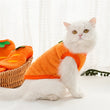 Warm Fleece Winter Clothes for Small Dogs & Cats | Soft Pet Jacket | For Chihuahua, Puppy & Kitten (XXS–XL)