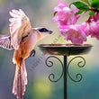 Freestanding Metal Bird Bath with Stake for Outdoor Use | Large Garden Bird Feeder Bowl for Lawns, Patios & Yards