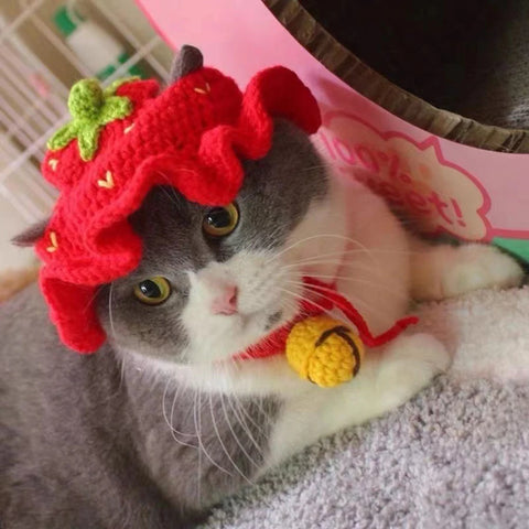 Pet Headgear | Cat and Dog Knitted Hat | Cosplay Props | Pet Headwear | Funny Pet Transformation Clothing