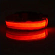 LED Light-Up Dog Collar – High Visibility Safety Collar for Night Walks (Battery Powered)