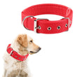 Adjustable Nylon Pet Collar with Traction Ring – Durable and Comfortable Dog Neck Strap