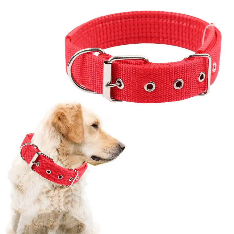 Adjustable Nylon Pet Collar with Traction Ring – Durable and Comfortable Dog Neck Strap