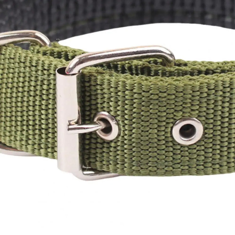 Adjustable Nylon Pet Collar with Traction Ring – Durable and Comfortable Dog Neck Strap