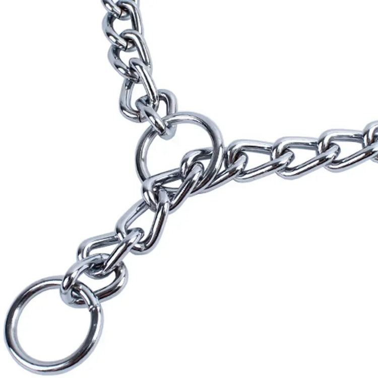 Adjustable Chrome Stainless Steel Dog Collar – No Choke Traction Rope Lead