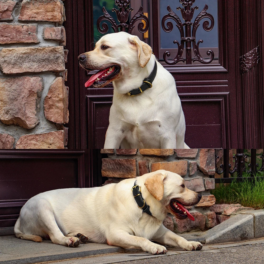 Durable Real Leather Dog Collar – Adjustable & Heavy-Duty for Medium to Large Dogs