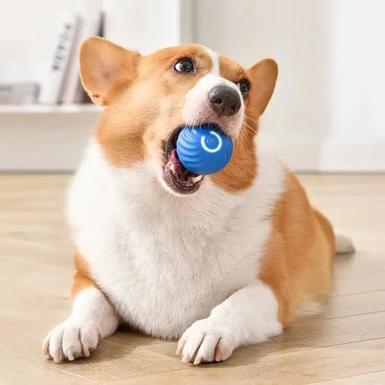 Smart Electronic Dog Toy Ball | USB Automatic Moving & Bouncing Pet Toy | Interactive Puppy Gift | Cat/Dog Products