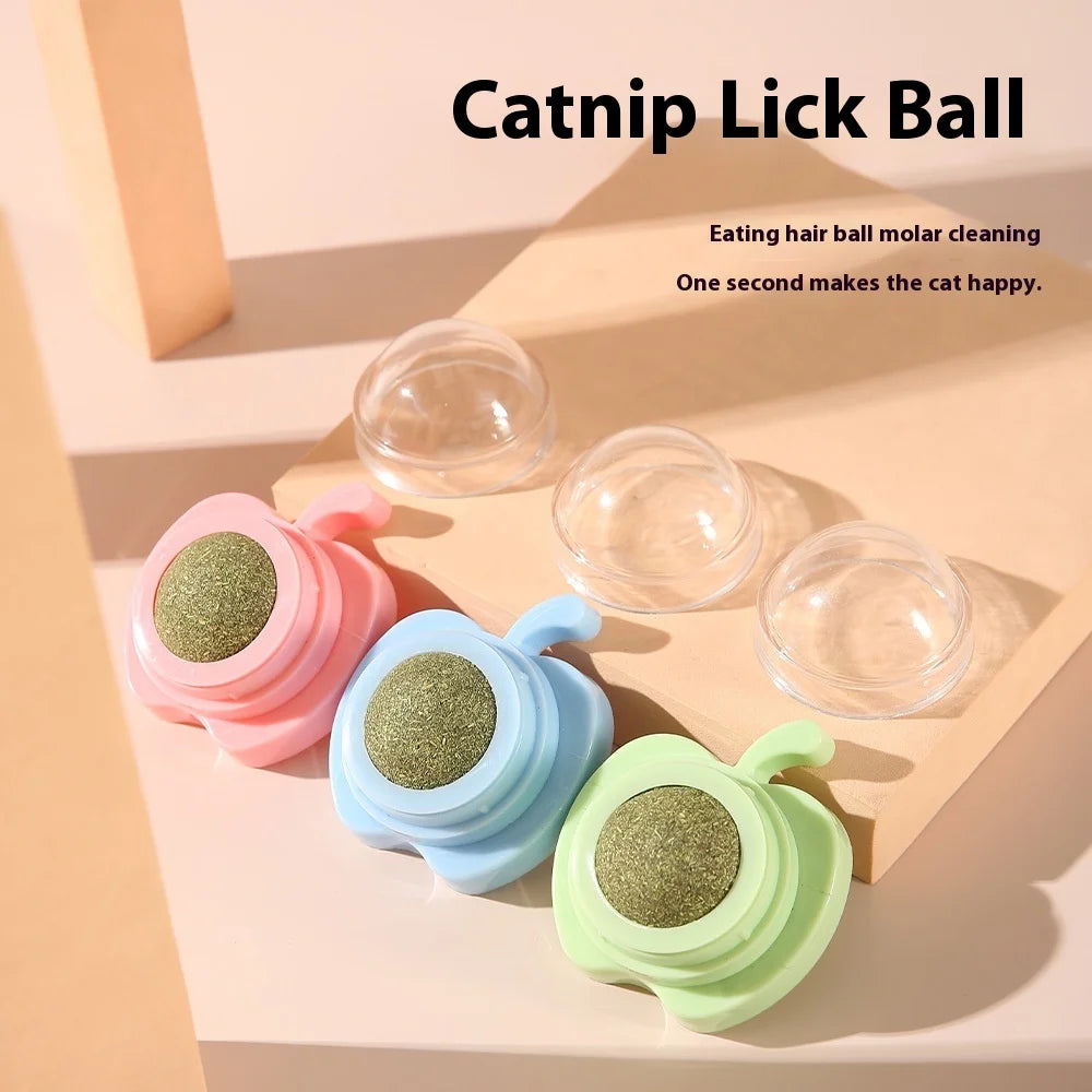 Cat Bowl | Lovely Creative Inclined Feeder | Kitten Puppy Food Bowl | Stainless Steel Pet Dish | 15° Tilt Neck Protector | Anti-Slip Dog Cat Feeder