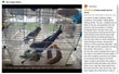 Bird Bath Shower   Bathtub Box  Large Hanging Clear Transparent  Cube   for Parrots  Cage Accessories Bowl