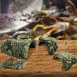 New Aquarium Decoration Resin Tree Root Ornament – Artificial Fish Tank & Reptile Terrarium Accessory
