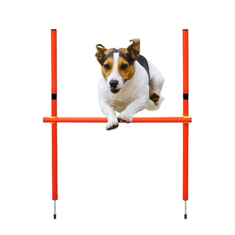 Outdoor Dog Obstacle Training Set – Agility Equipment for All Breeds