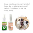 Pet Potty Training Aid Spray – 30ml Trainer for Dogs and Puppies