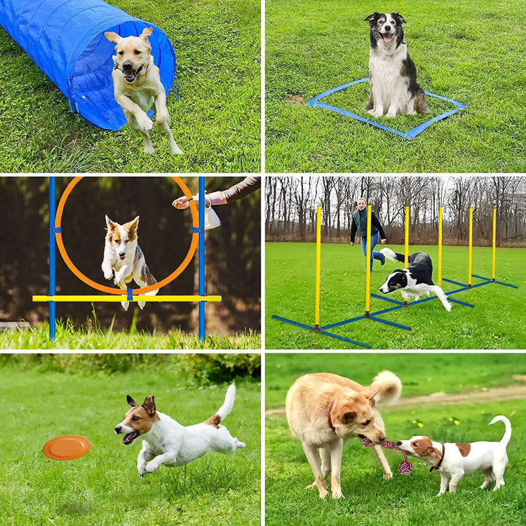 Pet Agility Training Set Jumping Bar Dog Obstacle Training Equipment Hurdle Training Dog Training Device Pet Supplies