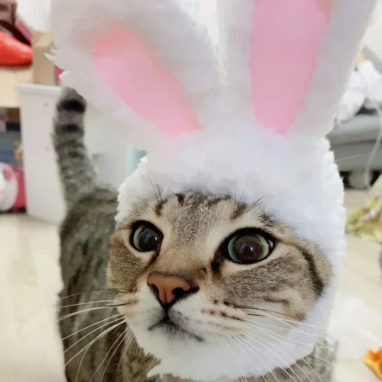 Cute Lion Mane Wig Hat for Cats/Small Dogs | Funny Pet Costume For Halloween, Christmas & Parties