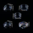 Acrylic Transparent Shrimp Feeder – Lightweight Durable Fish & Shrimp Feeding Container