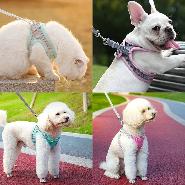 Cat Harness Leash Set | Adjustable Dog & Cat Collar | French Bulldog Harness Vest | Puppy & Chihuahua | Outdoor Walking Lead Leash
