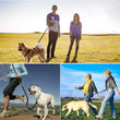 Adjustable 2.5M Double-Ended Dog Leash – Durable Police-Style Training Lead