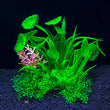 14 Kinds Artificial Aquarium Plants – Fish Tank Grass Decoration, 14.5cm