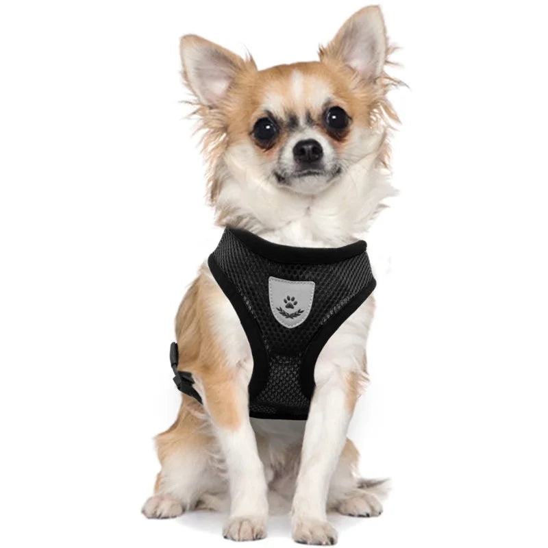 Cat Dog Harness With Lead Leash | Adjustable Vest | Polyester Mesh | Breathable Harnesses | Reflective Strap - Small Dog Cat Accessories