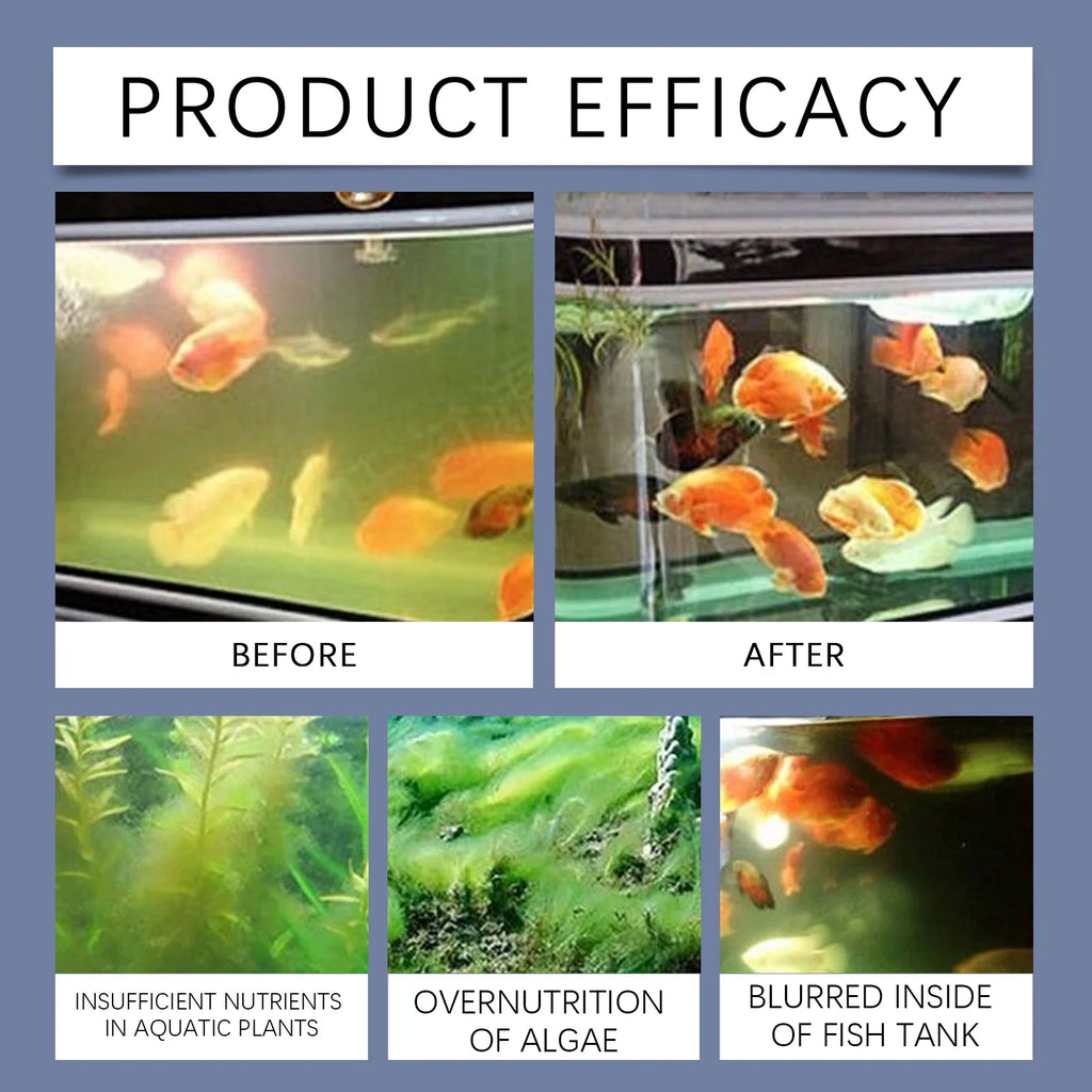 YEGBONG Algaecide 100ml – Rapid Water Purifier & Algae Inhibitor for Fish Tanks and Ponds