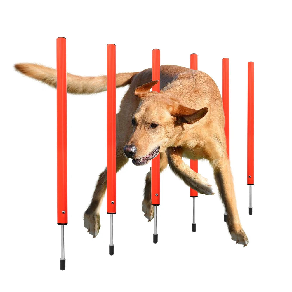Portable Dog Agility Training Set – Outdoor Jumping & Obstacle Equipment