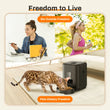Smart Pet Feeder | Automatic Cat Dog Food Dispenser | Timed Portion Control | 2L Slow Feeder Bowl | LCD Display | Battery Operated | Pet Feeding Machine